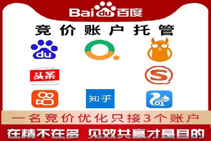 百度推广费用投入与品牌知名度提升的案例分析